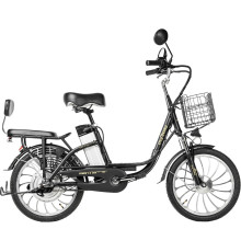 Электровелосипед MyWay Truck 1.0 350 20 15, черный