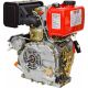 Дизельный двигатель Brait BR300DE