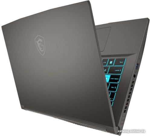 Игровой ноутбук MSI Thin 15 Thin 15 B13UC-3287XRU