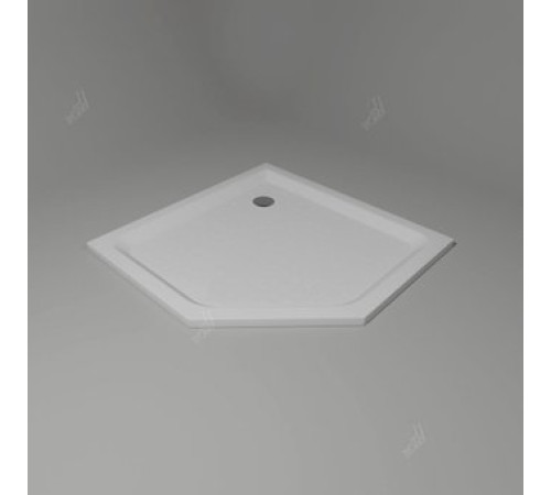 Душевой поддон RGW LUX/TN-TR 16180500-41 100x100