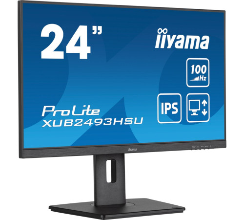 Монитор Iiyama ProLite XUB2493HSU-B7