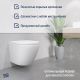 Унитаз подвесной Lauter Vortex 2110830 + GROHE Solido 38811KF0 с кнопкой прямоугольная, черный