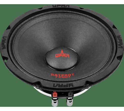 Среднечастотная АС Урал АС-ПТ 165.2 Гром