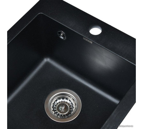 Кухонная мойка Wisent 420-25W с сифоном GER013