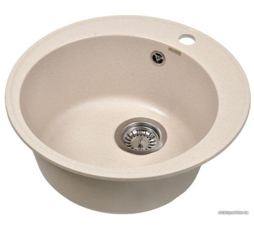 Кухонная мойка Wisent 480-30WR с сифоном GER013