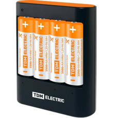 Аккумуляторы + зарядное TDM Electric 36044Н SQ1702-0101