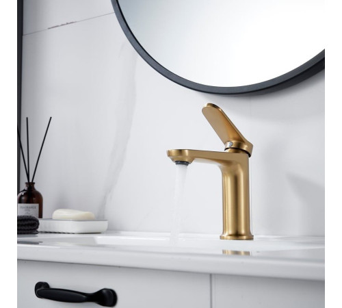 Смеситель Shevanik S4301G