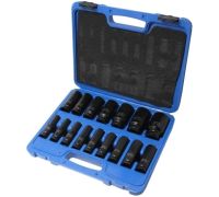 Набор торцевых головок RockForce RF-4167-5MPB 16 предметов