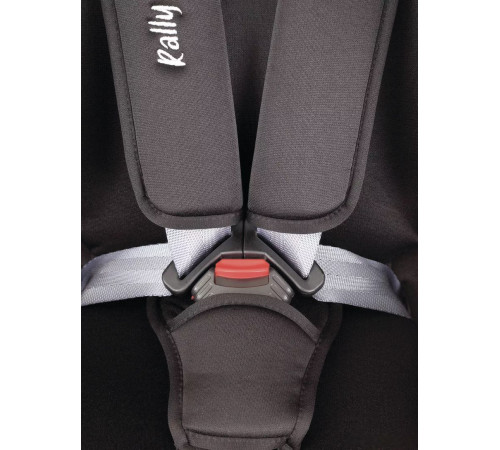 Детское автокресло Rant Basic Rally ZY19 черный