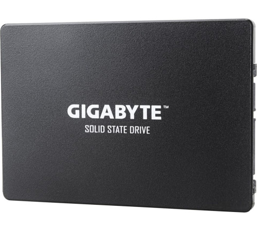 SSD Gigabyte 1TB GP-GSTFS31100TNTD
