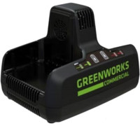 Зарядное устройство Greenworks G82C2 2x82В