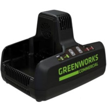 Зарядное устройство Greenworks G82C2 2x82В
