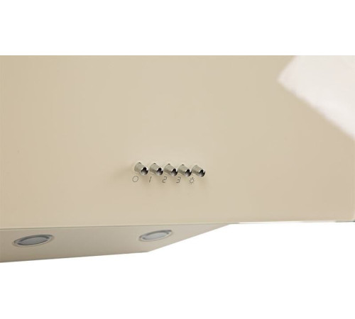 Кухонная вытяжка Making Oasis Everywhere NP-60I FR