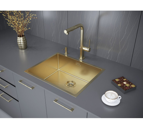 Кухонная мойка Paulmark Next 54 Uni PM215444-BG золото/брашированное золото