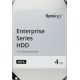 Жесткий диск Synology HAT5320 4TB HAT5320-4T