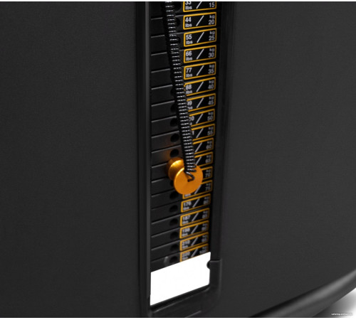 Гравитрон Bronze Gym Might 09