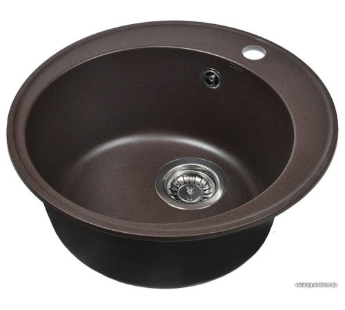 Кухонная мойка Wisent 480-27WR с сифоном GER013