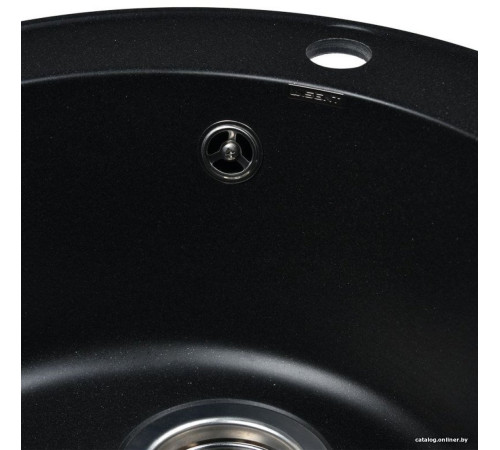 Кухонная мойка Wisent 480-25WR с сифоном GER013