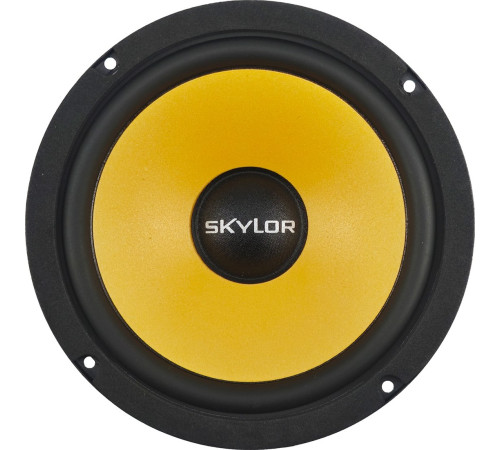 Компонентная АС Skylor E6C