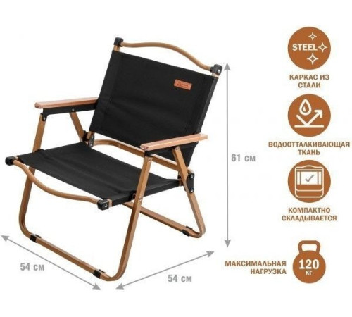 Кресло Arizone 42-555404 черный/дерево