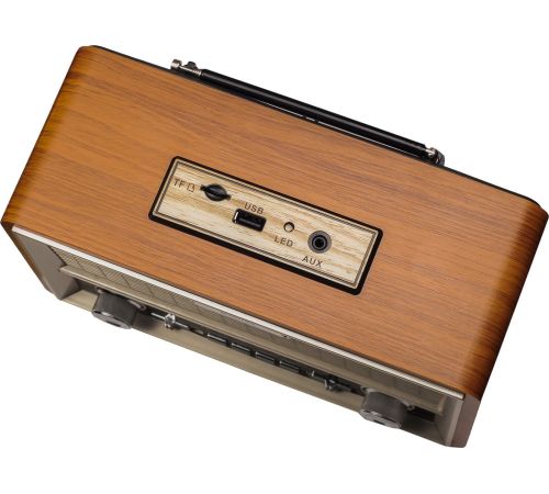 Радиоприемник Ritmix RPR-111
