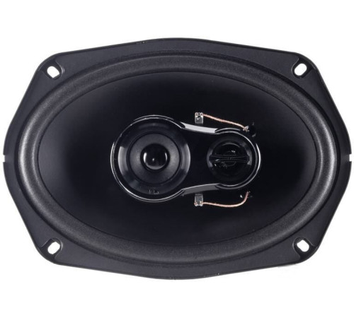 Коаксиальная АС Nakamichi NSE6918R