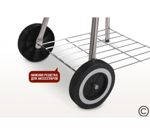 Гриль Start Grill Bison SG22KF