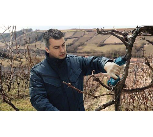 Секатор Bosch Pro Pruner Professional 06019K1021 с 2-мя АКБ