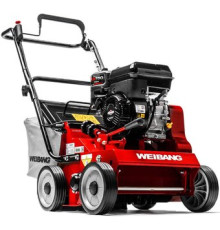 Скарификатор Weibang WB 384RB