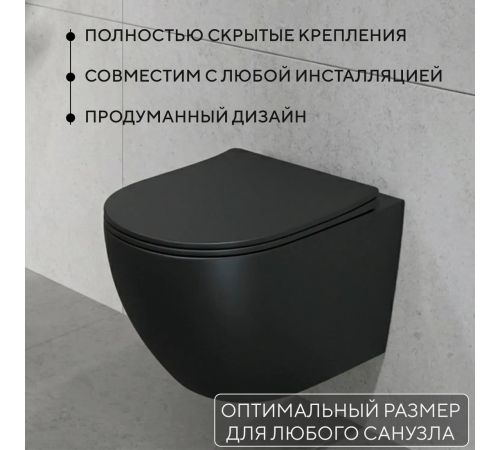 Унитаз подвесной Lauter Augsburg 21109EC + 9300302 черный матовый