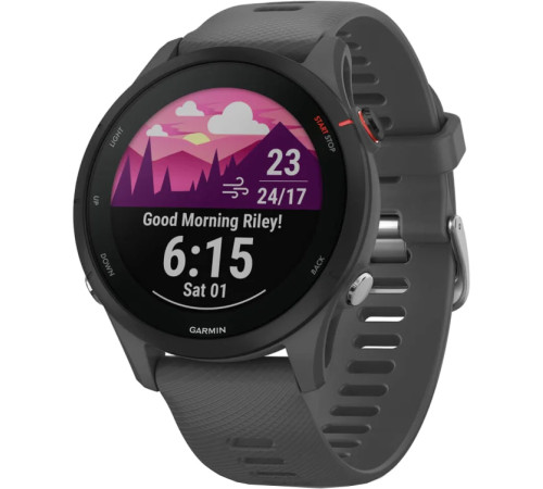 Умные часы Garmin Forerunner 255 сланцево-серый/черный