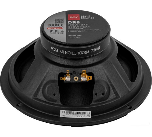 Широкополосная АС ACV DR8 Drall