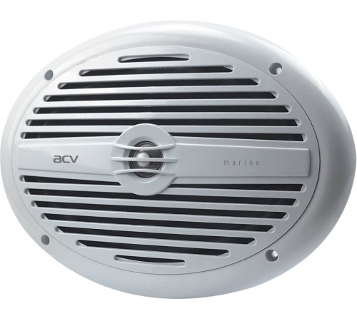 Коаксиальная АС ACV MR692W
