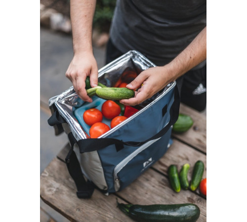 Термосумка Арктика 3001-20 20л синий