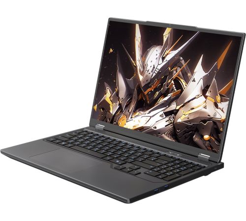 Игровой ноутбук Maibenben X-Treme Tsunami X16F-R98957T0JGRHG4E10