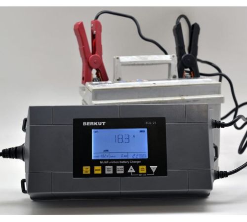 Зарядное устройство Беркут BCA-25