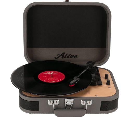 Виниловый проигрыватель Alive Audio Liberty Wind Chime
