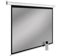 Проекционный экран CACTUS SIlverMotoExpert 138x220 CS-PSSME-220X138-DG