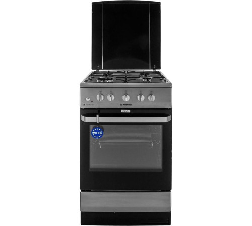 Кухонная плита Hansa FCGX58099