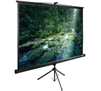 Проекционный экран CACTUS TriExpert 165x220 CS-PSTE-220X165-BK