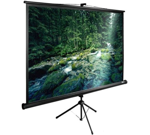 Проекционный экран CACTUS TriExpert 165x220 CS-PSTE-220X165-BK