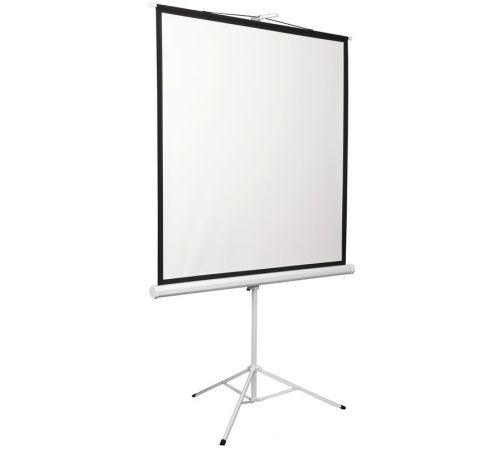 Проекционный экран Digis Kontur-D 248x250 DSKD-1108