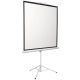 Проекционный экран Digis Kontur-D 248x250 DSKD-1108