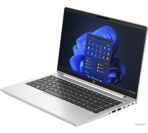 Ноутбук HP ProBook 440 G10 969G5ET