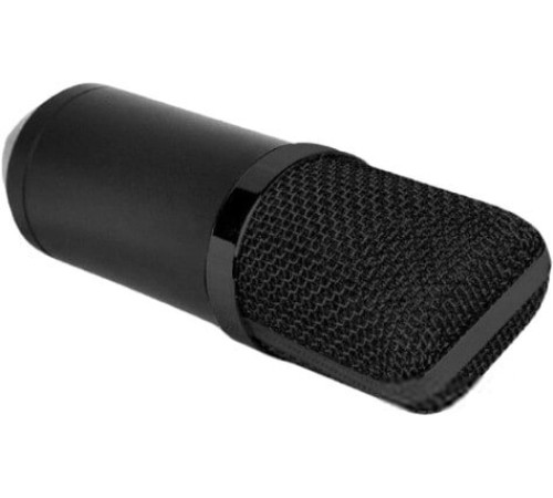 Проводной микрофон Biema BM700