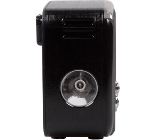 Радиоприемник Ritmix RPR-065