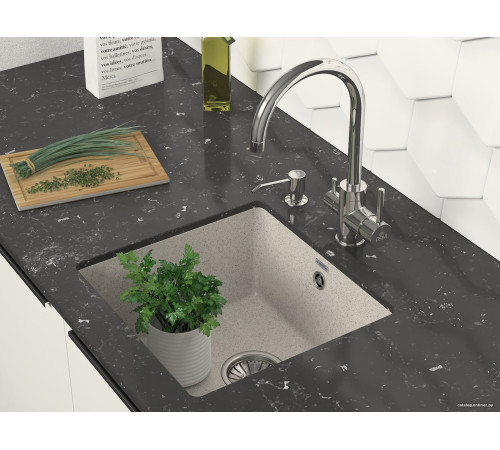 Кухонная мойка Paulmark Gera 50 PM104546-BE