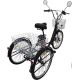 Электровелосипед AVM E-Alfa Trike 24 черный