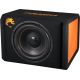 Корпусной активный сабвуфер DL Audio Piranha 15A Black V.2