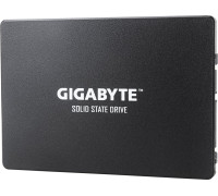 SSD Gigabyte 256GB GP-GSTFS31256GTND